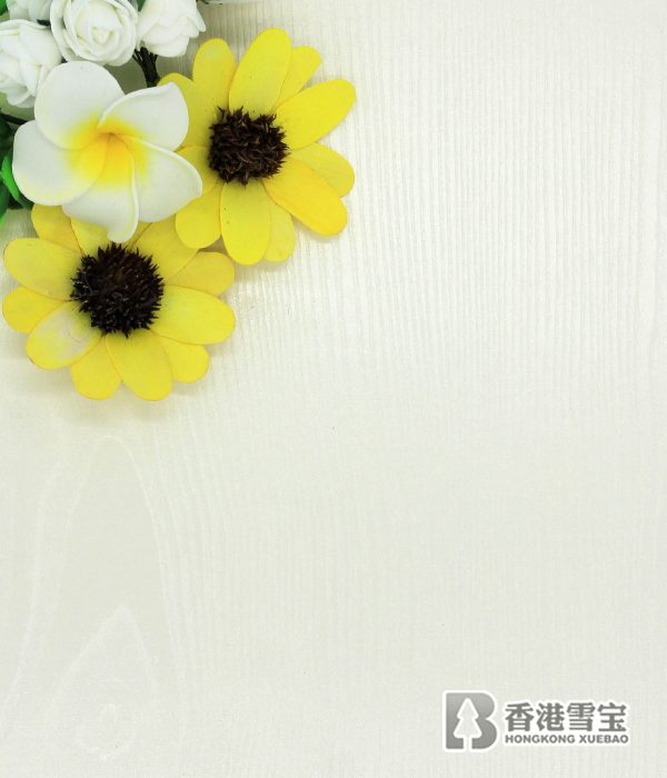 ��ѩ����ġ��Ї�(gu��)���ʮ��Ʒ��