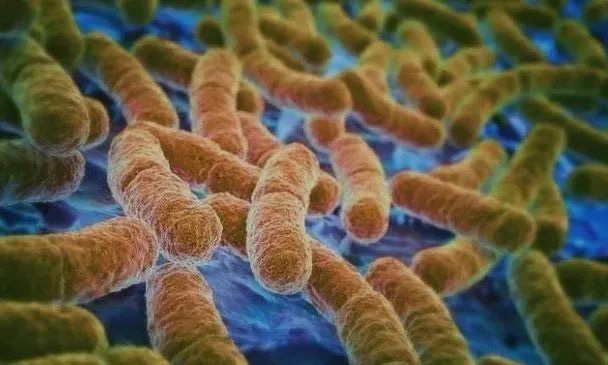 ѩ��������ù����ʲô����ʲôҪʹ�ÿ�����ù����