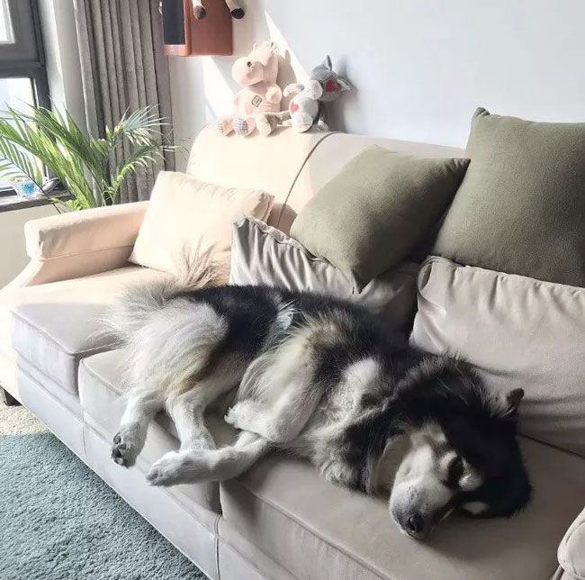 ���Ќ�������b���Լ��ļ������@Щ�����܎��톢�l(f��)��