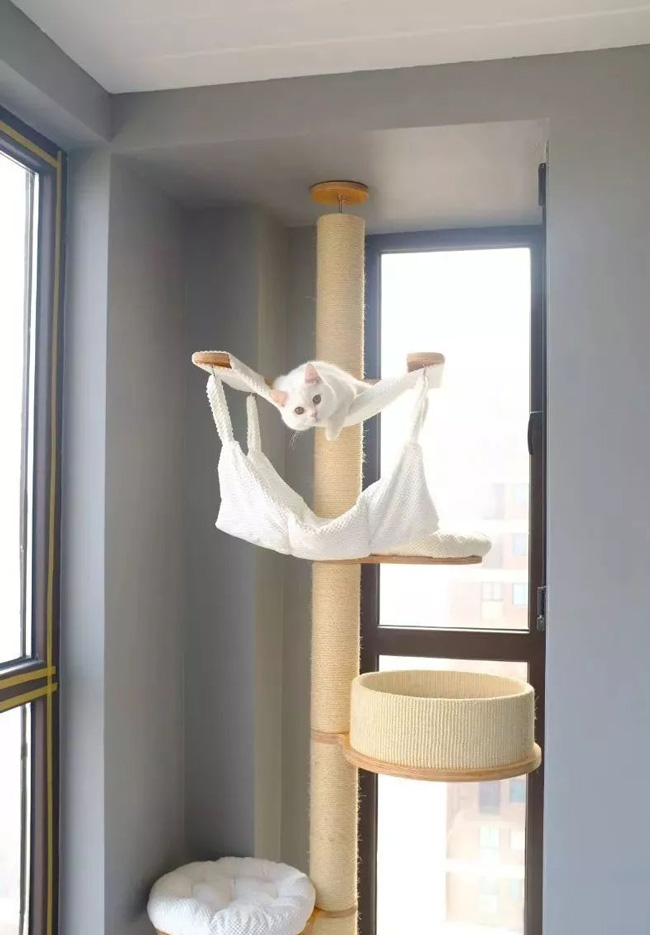 ���Ќ�������b���Լ��ļ������@Щ�����܎��톢�l(f��)��