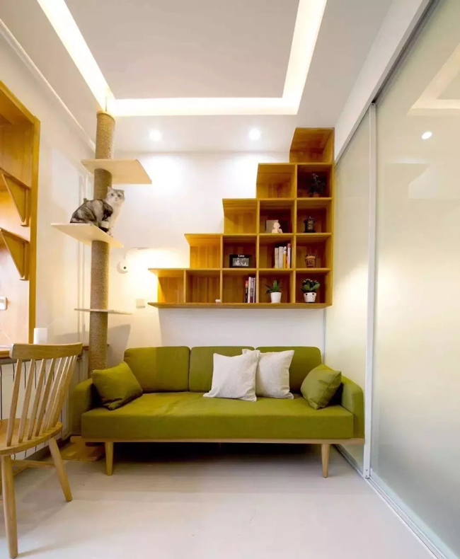 ���Ќ�������b���Լ��ļ������@Щ�����܎��톢�l(f��)��