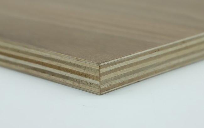 ���Ӱ�����c(di��n)��ʲô��