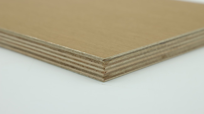 �b�޹�����ʲô�����